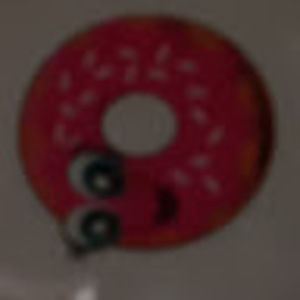 Meet your Posher, Estela